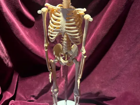 image.jpg