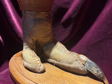 image.jpg