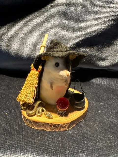 image.jpg